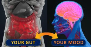 Digestive system communicates with our nervous system